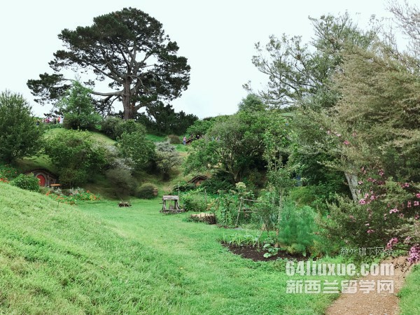 mW(xu)MBA