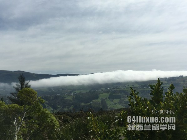 新西蘭留學(xué)移民政策