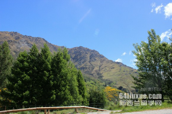 mW(xu)(zhun)I(y)