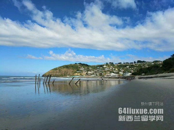 mW(xu)