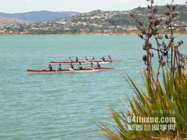 WmW(xu)gien
