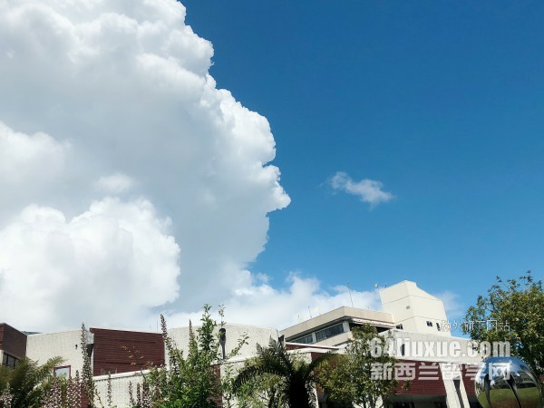 2017mоՈ