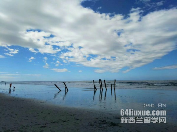 mx11꼉(j)ךq