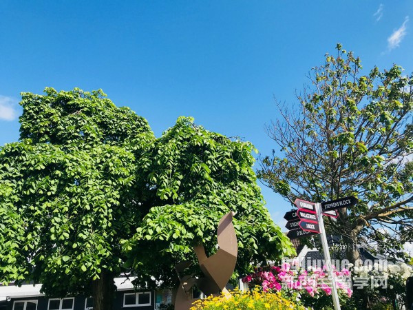 mS߀unitec