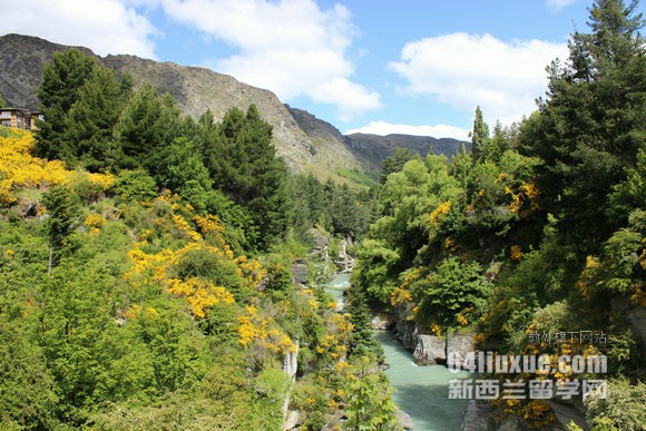 WmW(xu)homestay