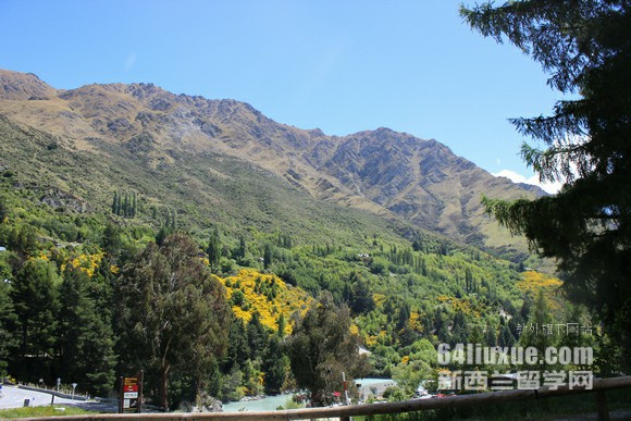 ՈmWMül