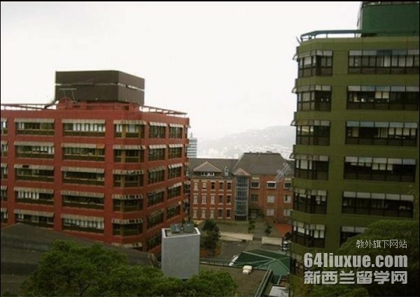 `DSW(xu)gpaҪ