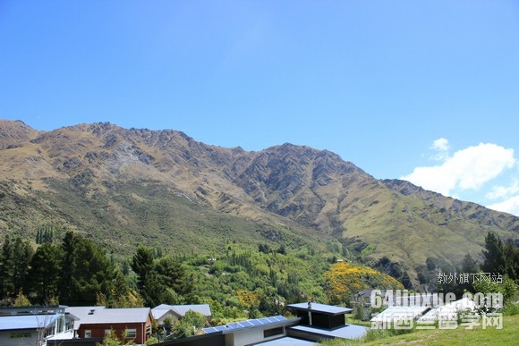mWTI