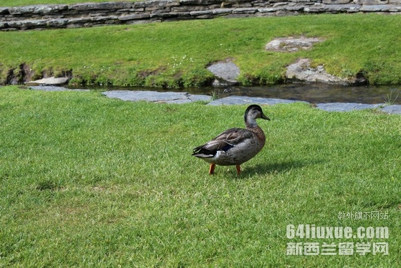 m決WУ
