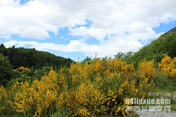mW(xu)yƷ