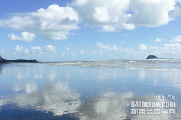mW(xu)ҹy