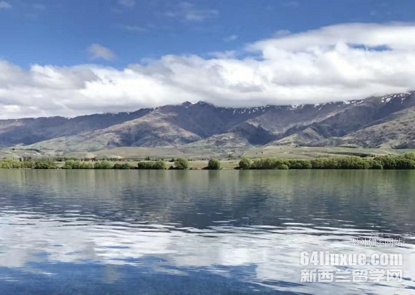mWtI