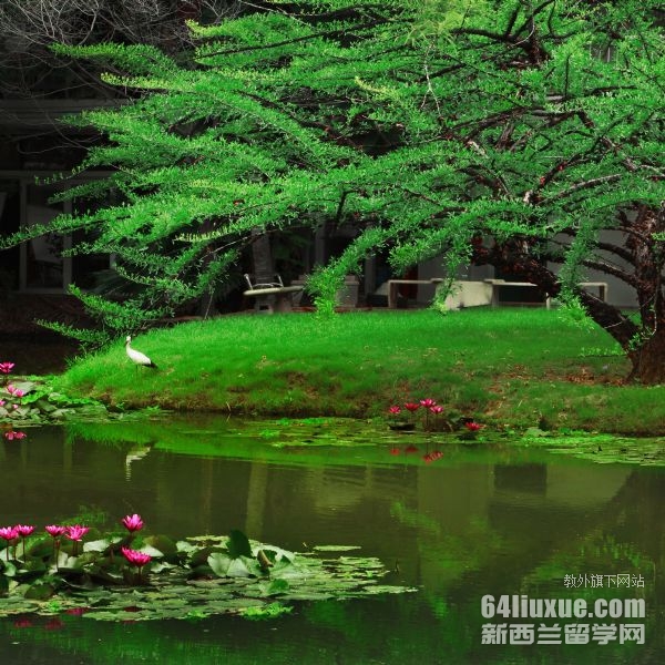 ̩(gu)ʿW(xu)Ո(qng)M(fi)