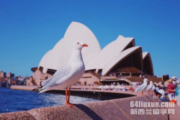ĴоՈM