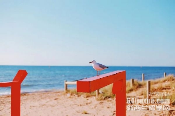 ĴƌW(xu)M(fi)