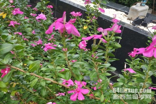 ̩HWУo팣I