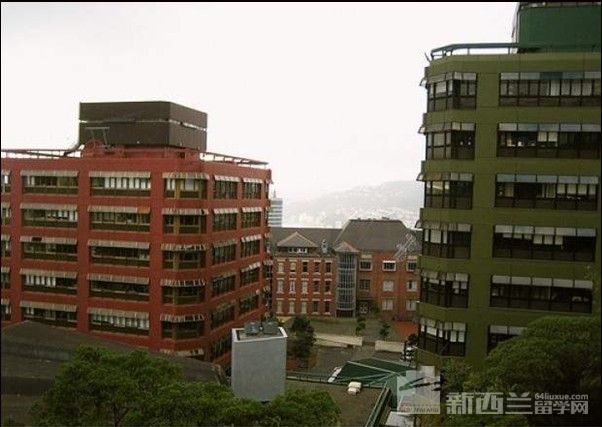 m`DSW(xu)